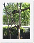 Dierentuin Burgers  Zoo 012 * 2736 x 3648 * (6.4MB)